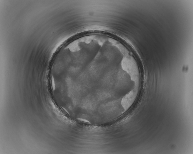 X0000111240783200907231527