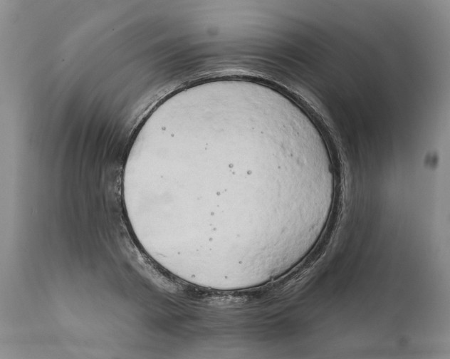 X0000111240793200907231527