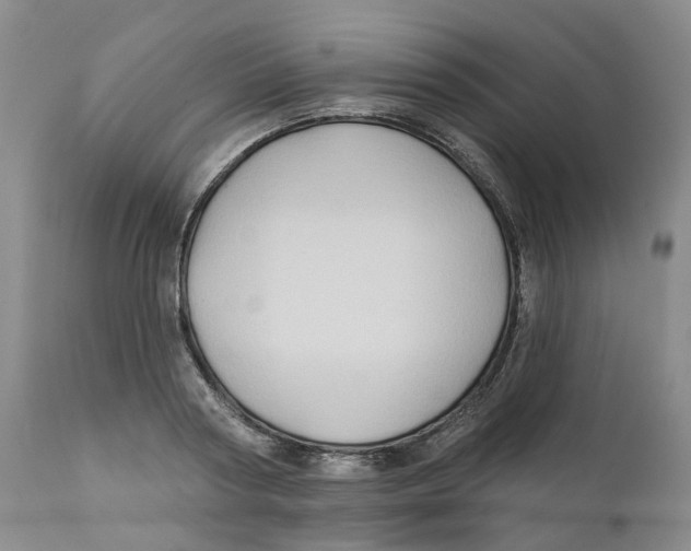 X0000111240794200907231527