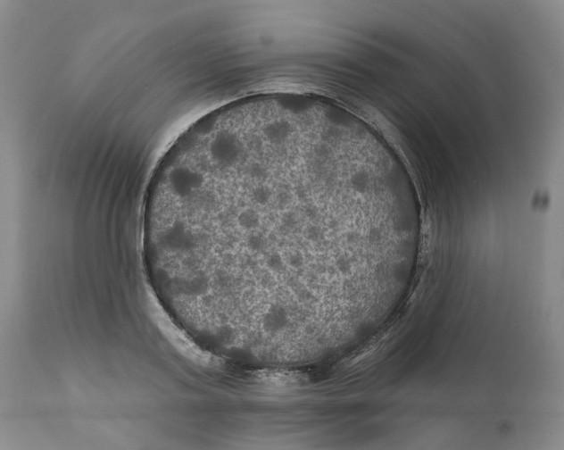 X0000111240795200907231527