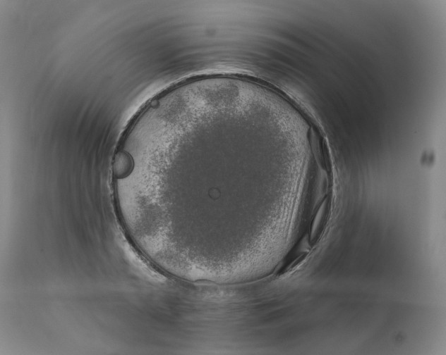 X0000111240797200907231527