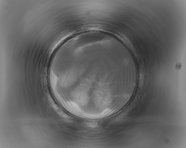 X0000111240798200907231527