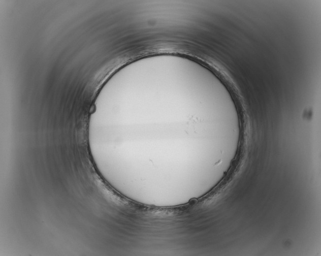 X0000111240801200907231527