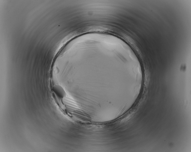 X0000111240802200907231527