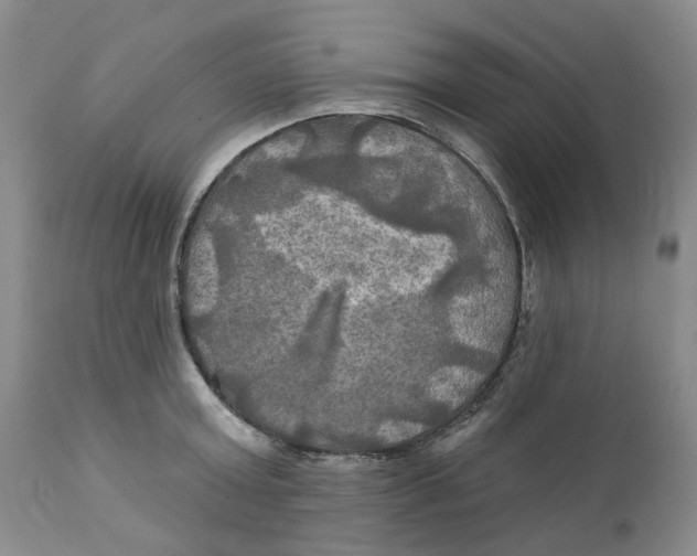 X0000111240803200907231527