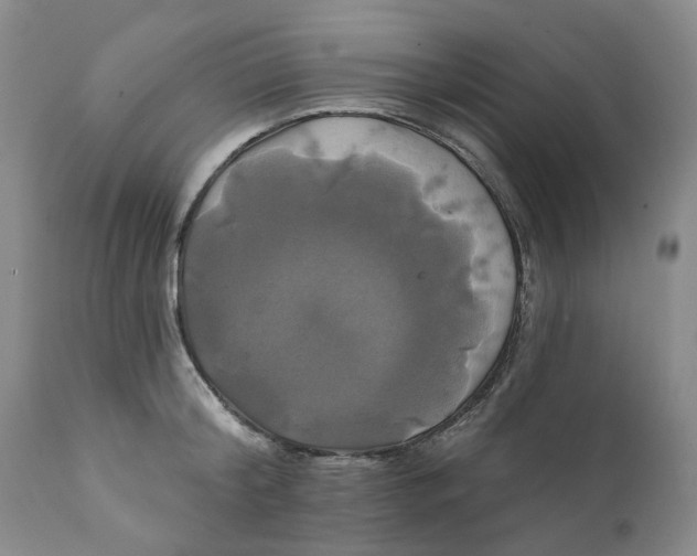 X0000111240804200907231527