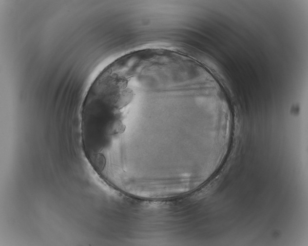 X0000111240808200907231527