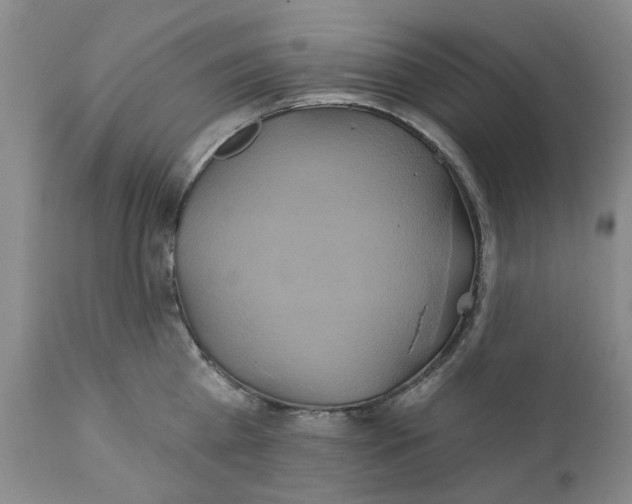 X0000111240809200907231527