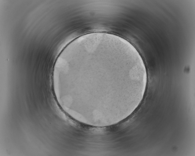 X0000111240810200907231527