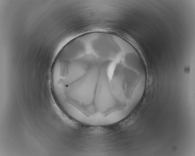 X0000111240811200907231527