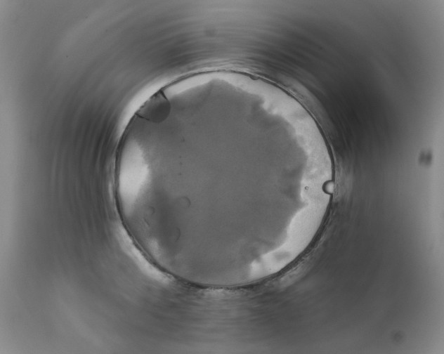 X0000111240812200907231527