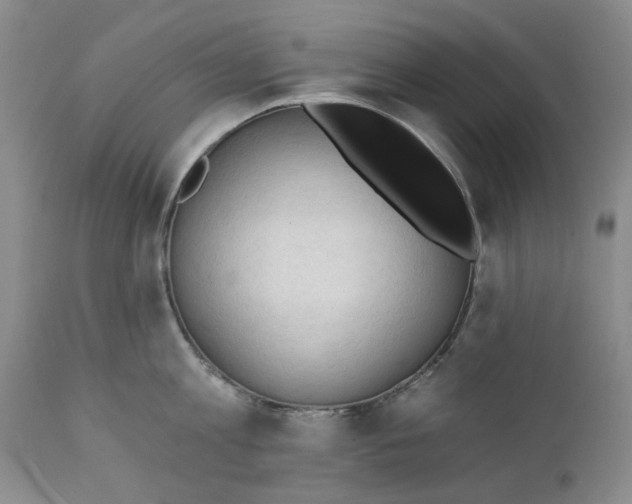 X0000111240813200907231527