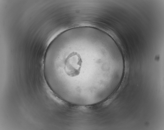 X0000111240814200907231527