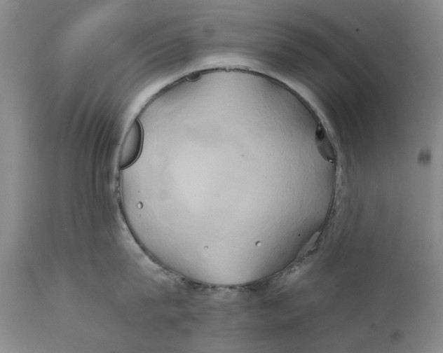 X0000111240815200907231527