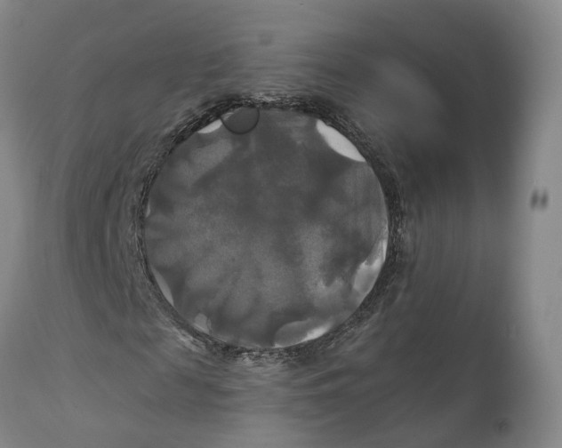 X0000111240817200907231526