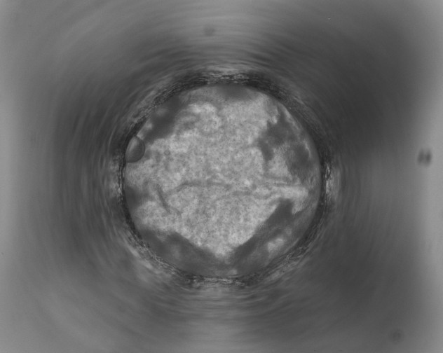 X0000111240819200907231526