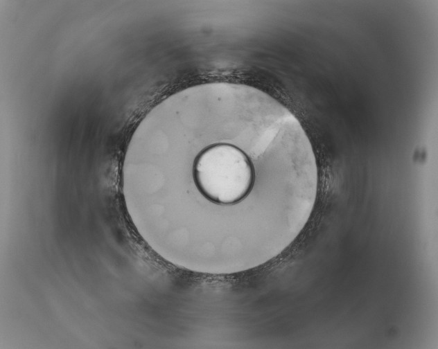 X0000111240820200907231526