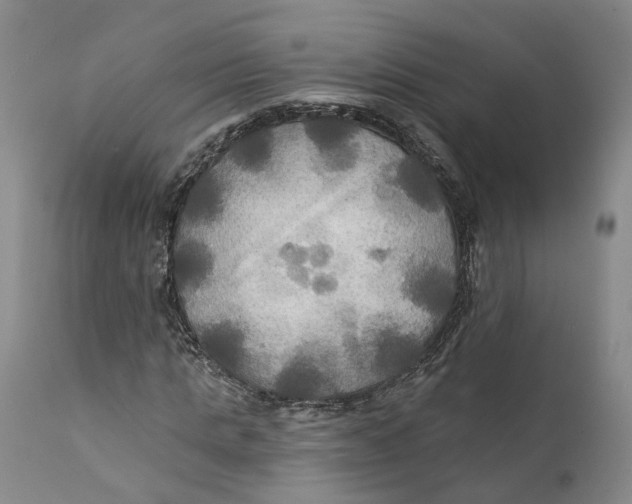 X0000111240821200907231526