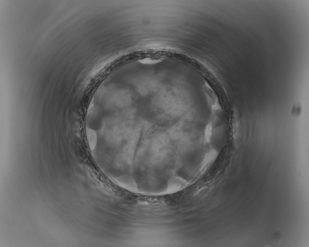 X0000111240823200907231526