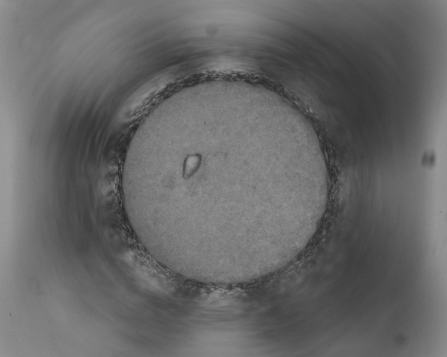 X0000111240824200907231526