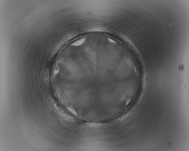 X0000111240825200907231526