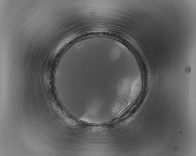 X0000111240826200907231526