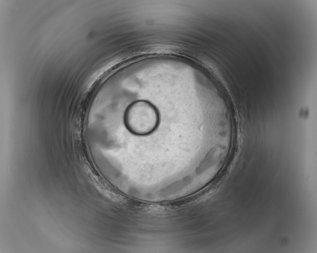 X0000111240827200907231526