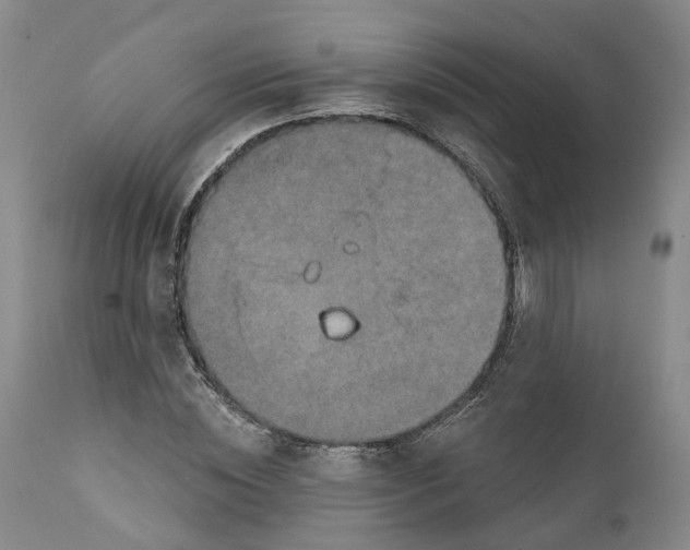 X0000111240828200907231526