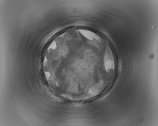 X0000111240829200907231526