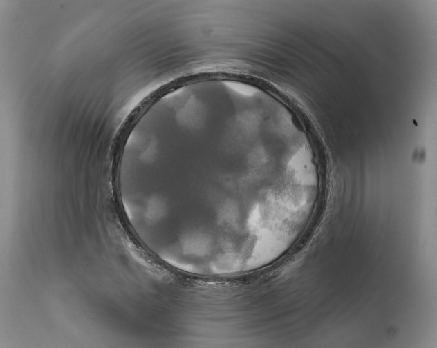 X0000111240830200907231526