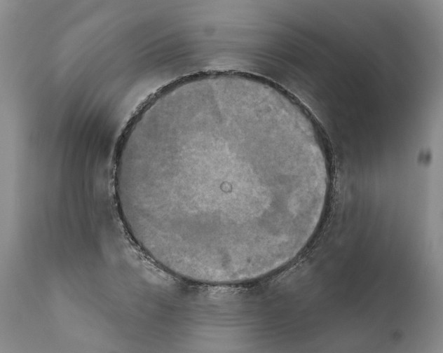 X0000111240832200907231526