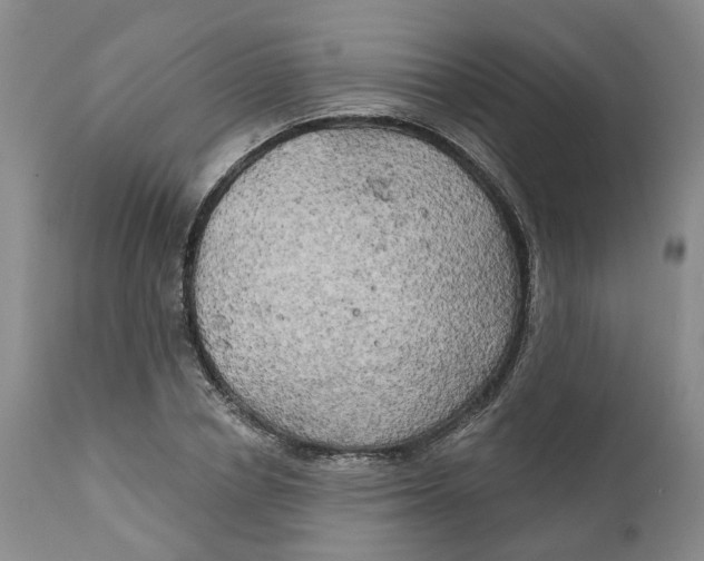 X0000111240834200907231526