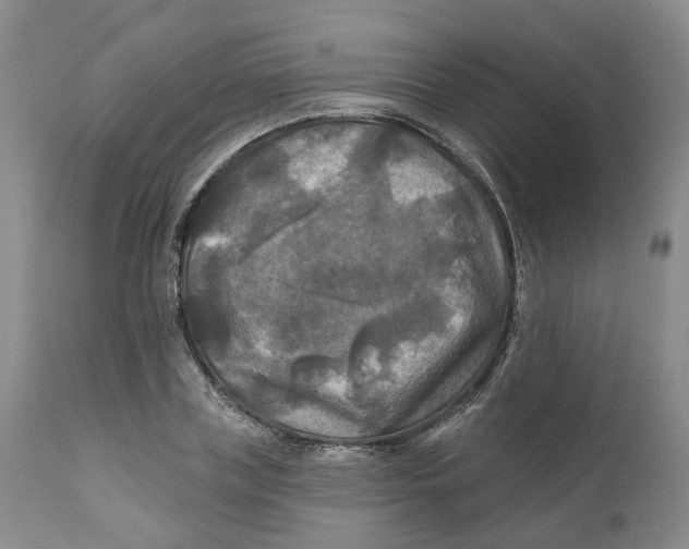 X0000111240835200907231526