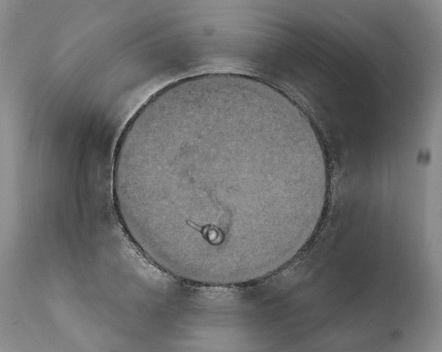 X0000111240836200907231526