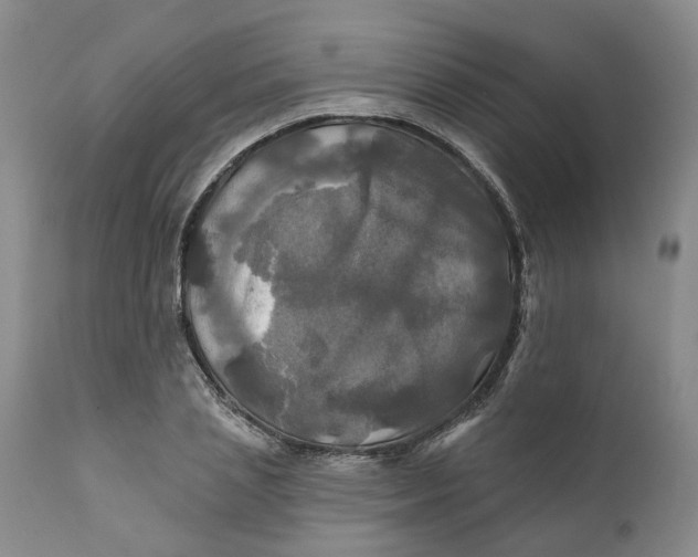 X0000111240837200907231526