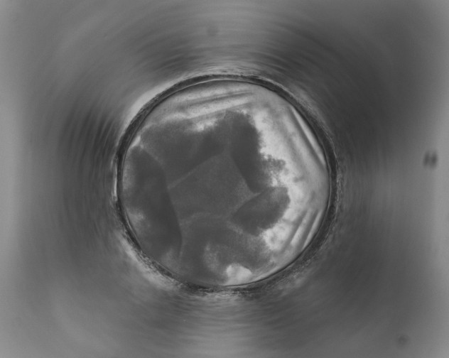 X0000111240838200907231526