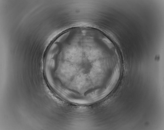 X0000111240839200907231526