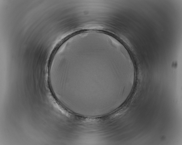 X0000111240840200907231526