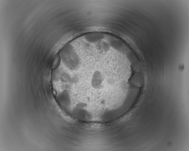 X0000111240841200907231526