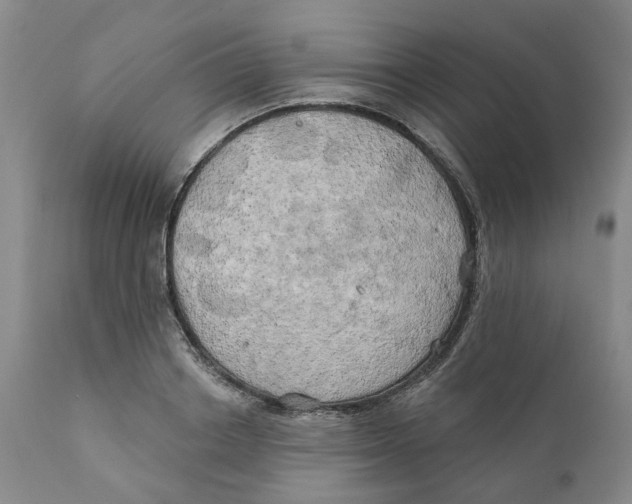 X0000111240842200907231526