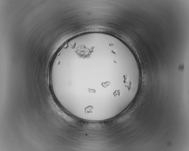 X0000111240843200907231526