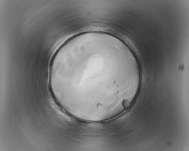 X0000111240844200907231526