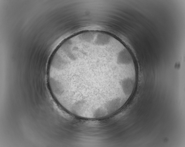 X0000111240845200907231526