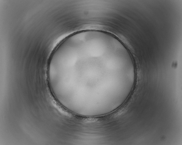 X0000111240846200907231526