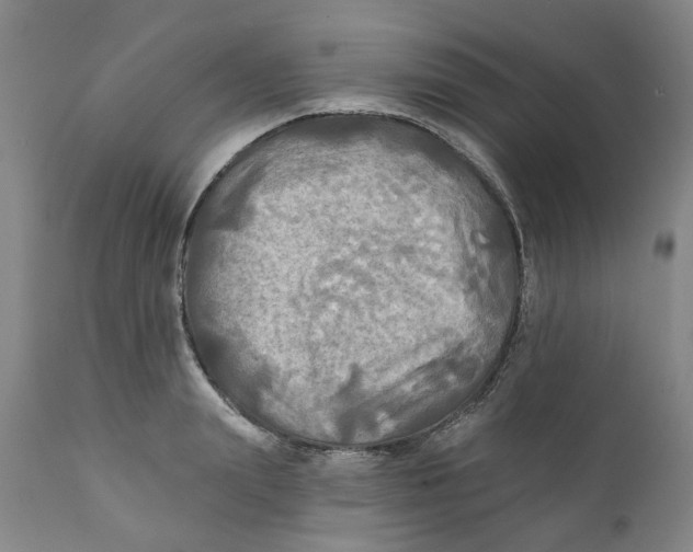 X0000111240847200907231526