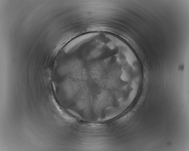 X0000111240849200907231526