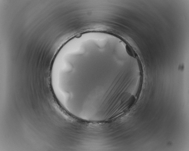 X0000111240850200907231526