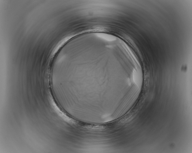 X0000111240851200907231526