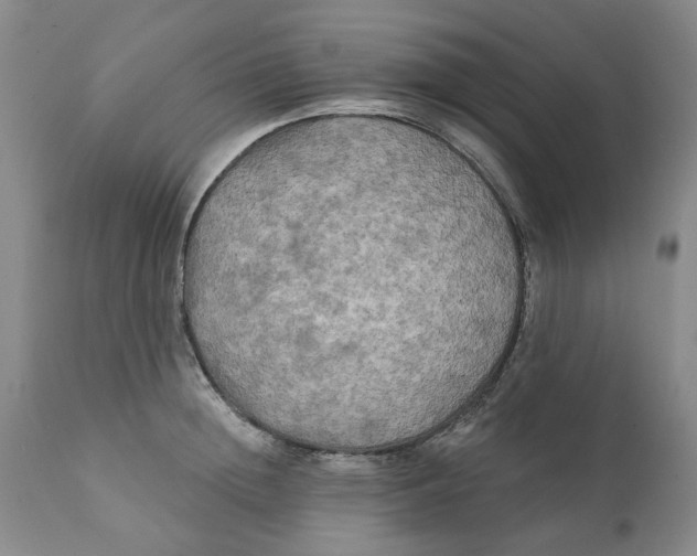 X0000111240852200907231526