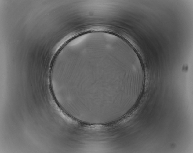 X0000111240853200907231526